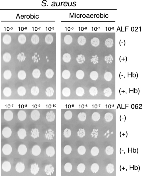 FIG. 6.