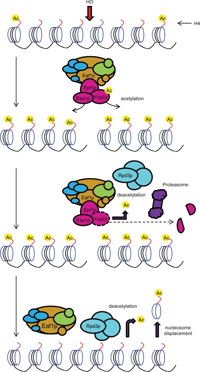 Figure 7.