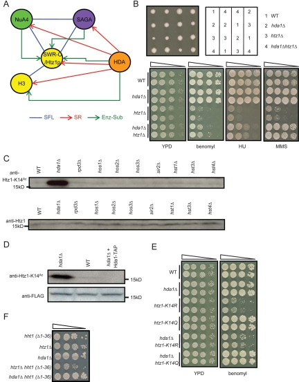 Figure 3.