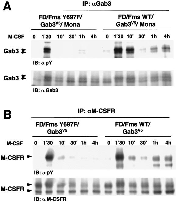 FIG. 6.