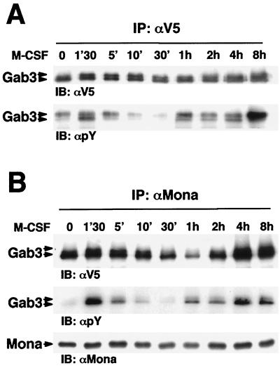 FIG. 5.