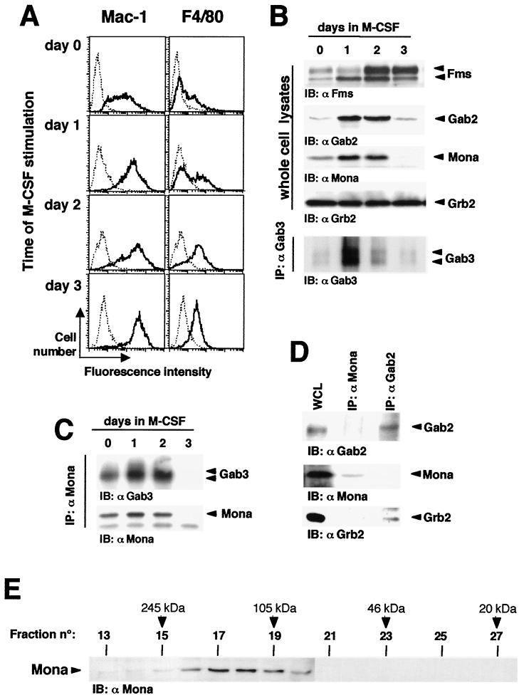 FIG. 8.