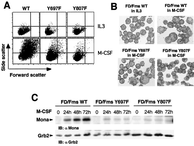 FIG. 7.