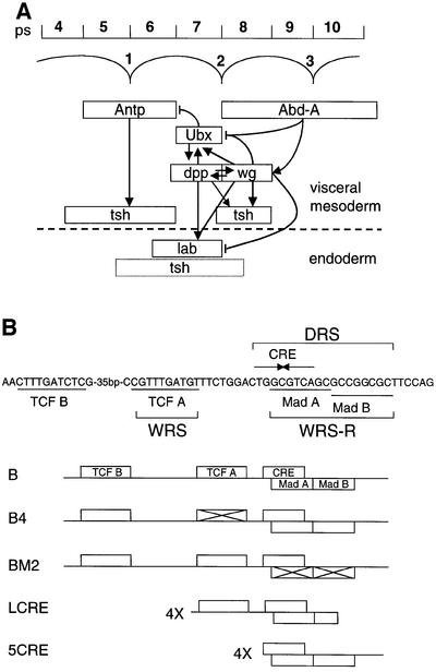 graphic file with name cde022f1.jpg