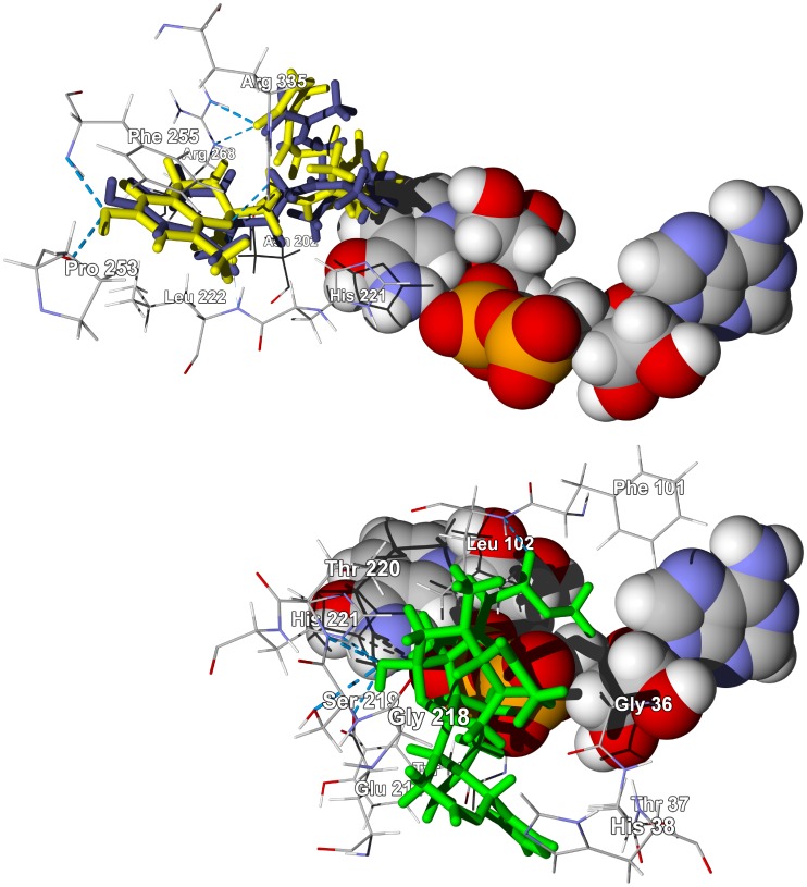 Figure 5