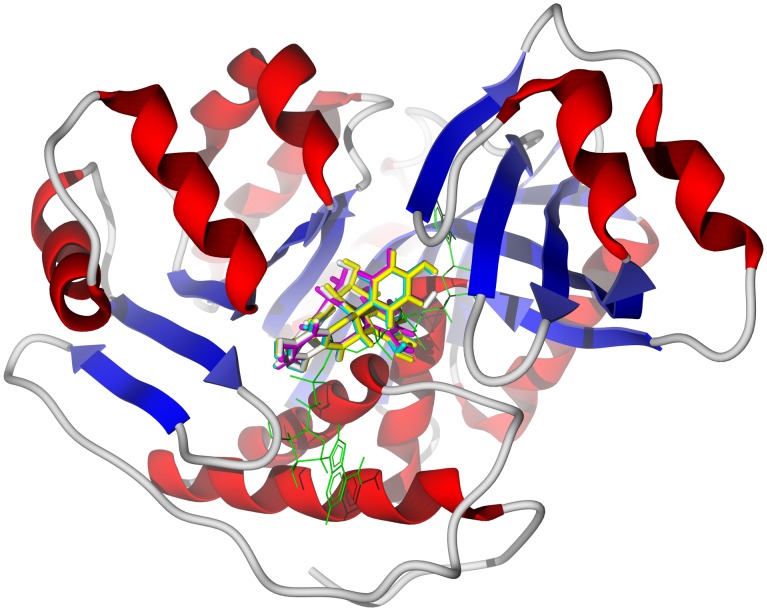 Figure 3