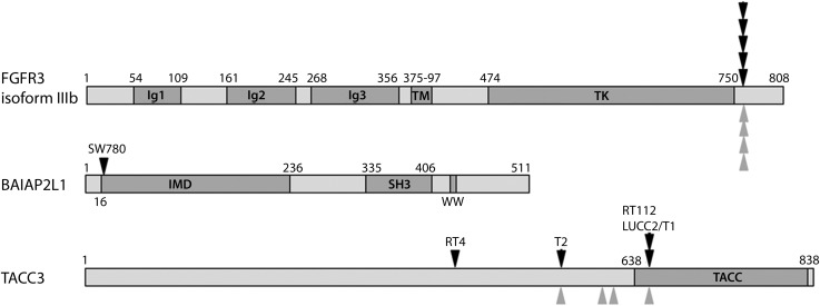 Figure 3.