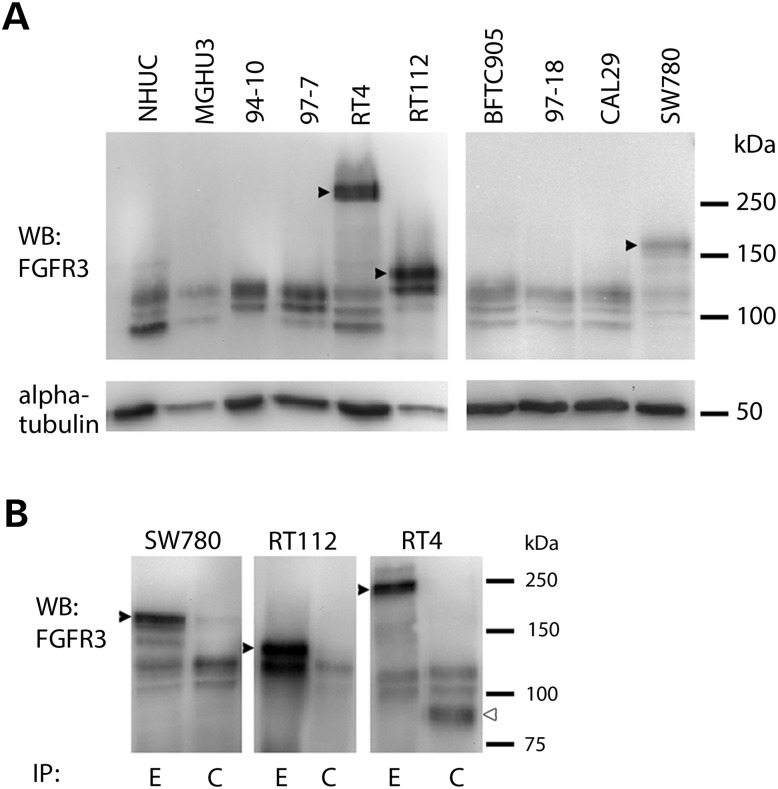 Figure 1.