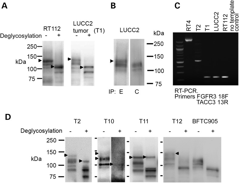 Figure 4.