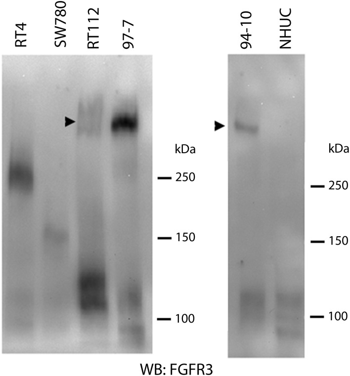 Figure 5.