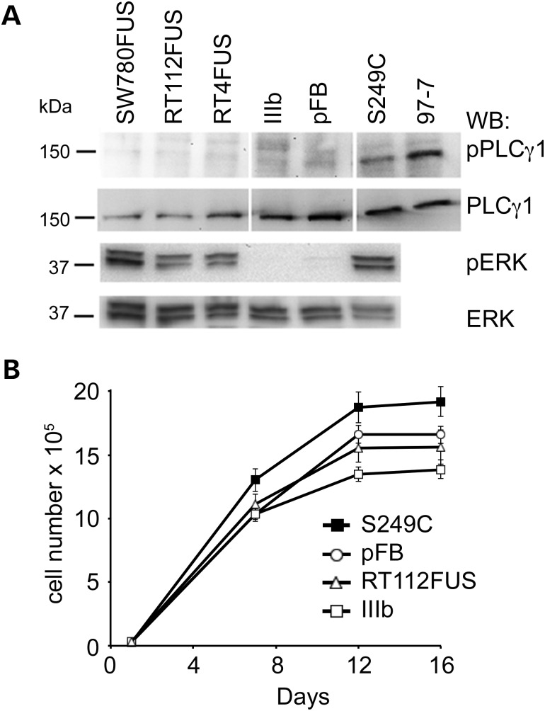 Figure 7.