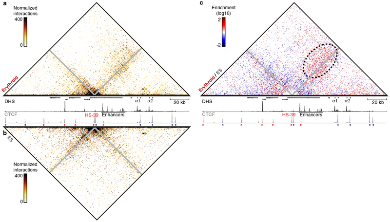 Figure 5: