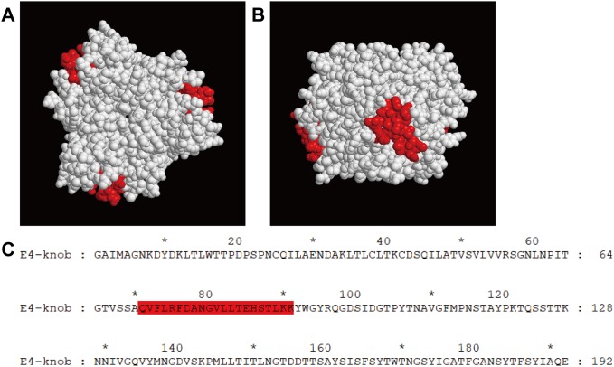 Fig 8