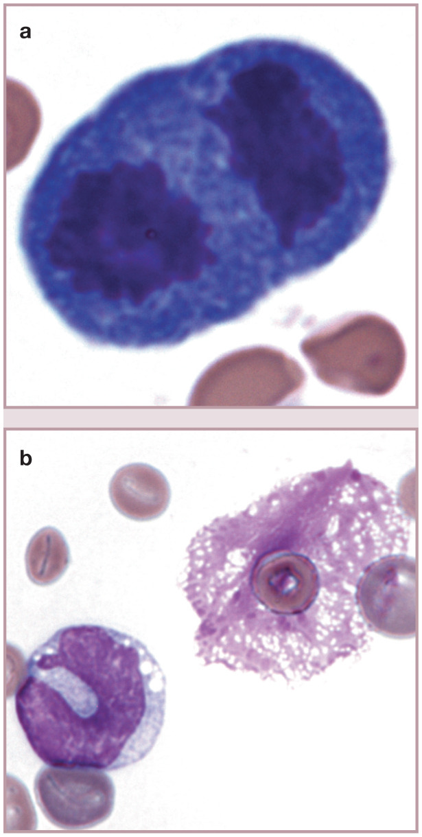 Figure 23