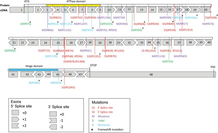 Figure 2.