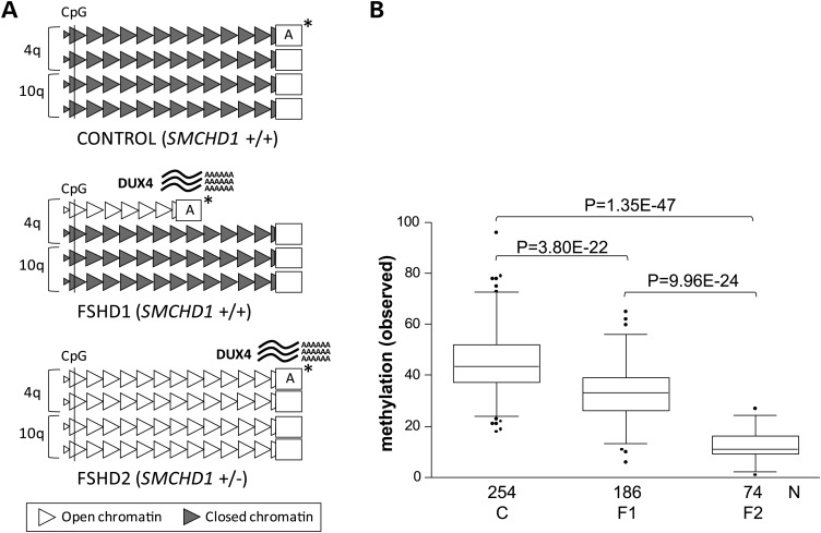 Figure 1.