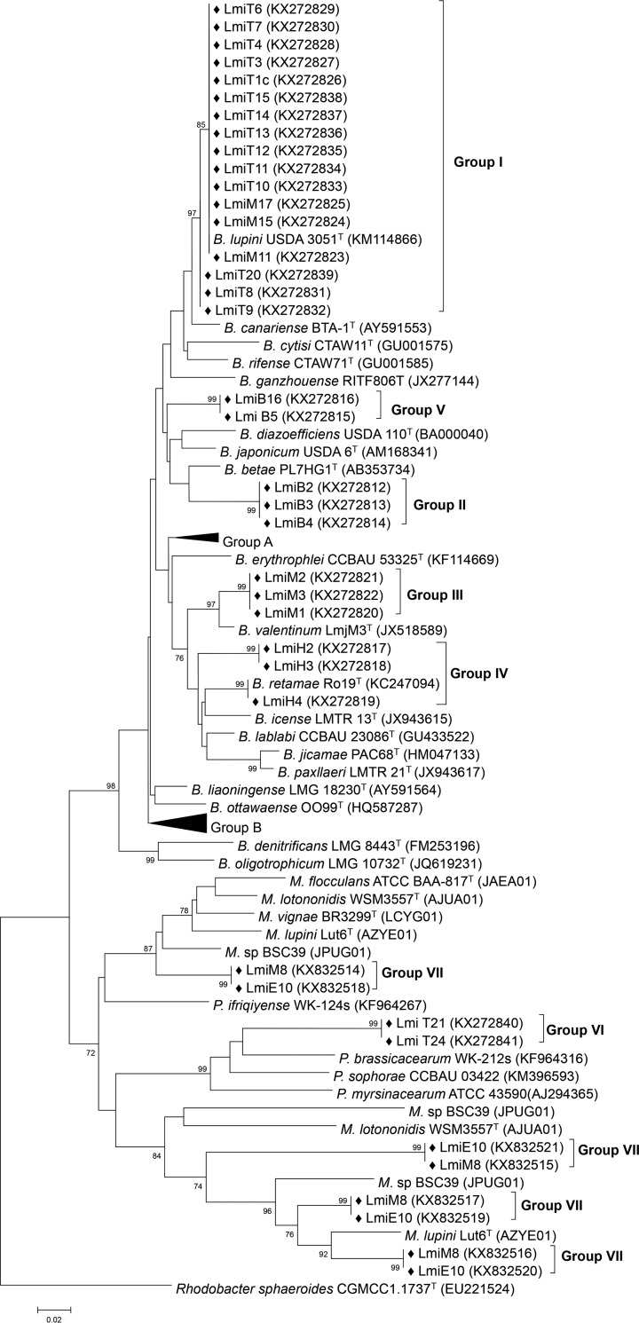 FIG 2