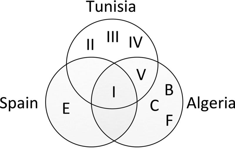 FIG 6