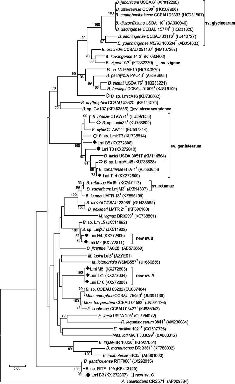 FIG 5