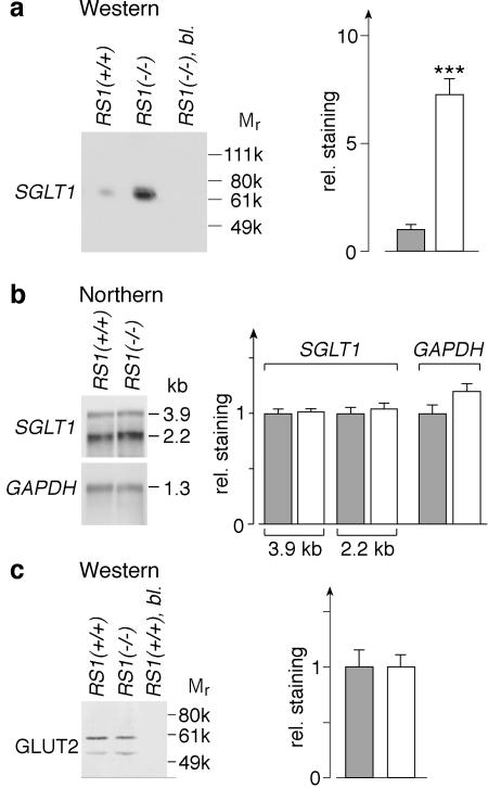 FIG. 9.