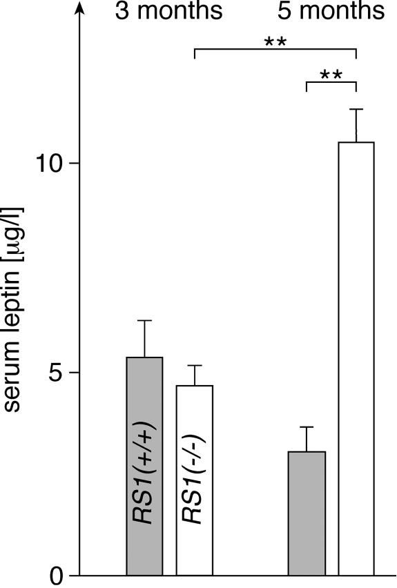 FIG. 5.