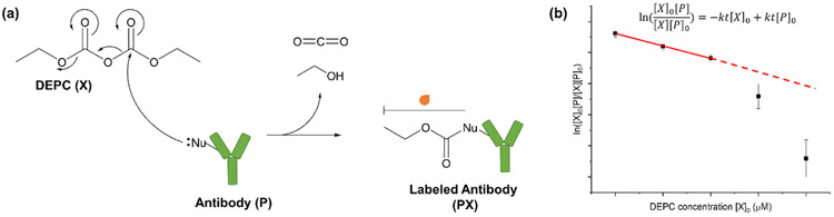 Scheme 1.