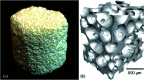 Fig. 27
