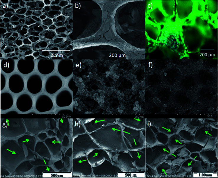 Fig. 18