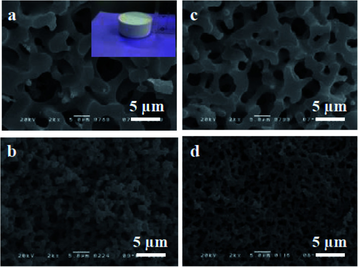 Fig. 11