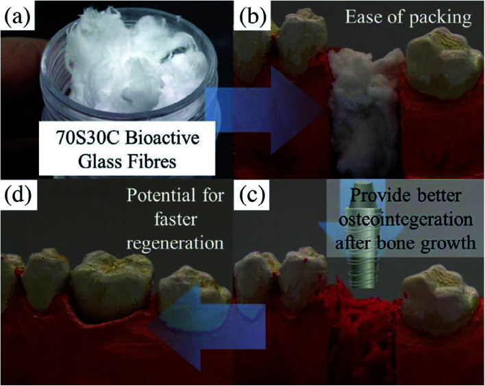 Fig. 19