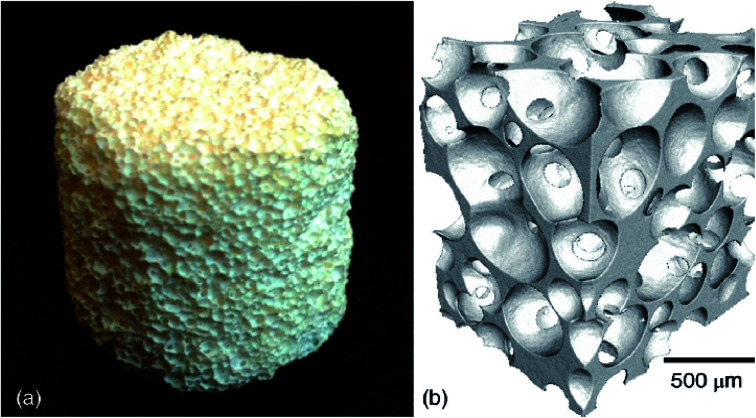 Fig. 27