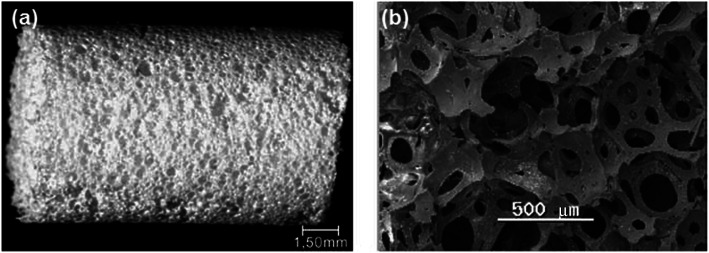 Fig. 28