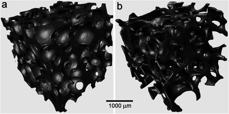 Fig. 29