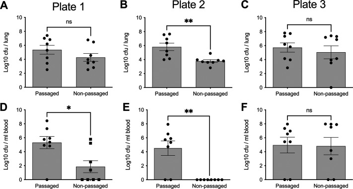 FIG 6