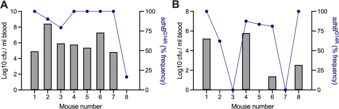 FIG 7