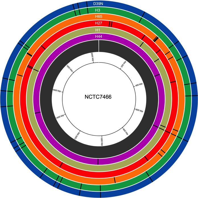 FIG 2