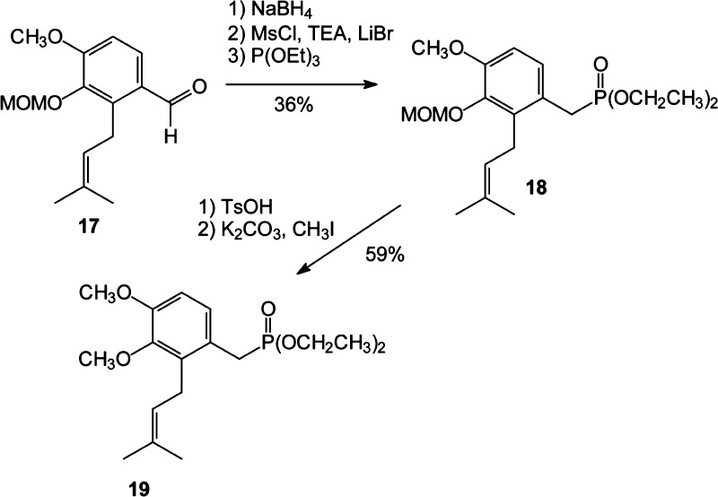 Scheme 2