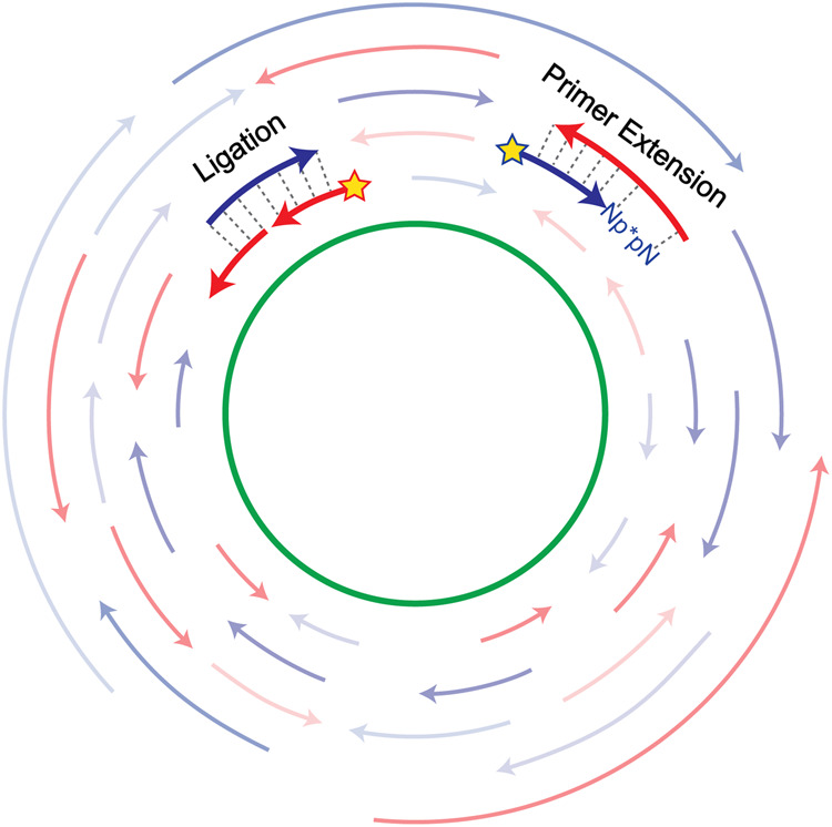 FIGURE 3.