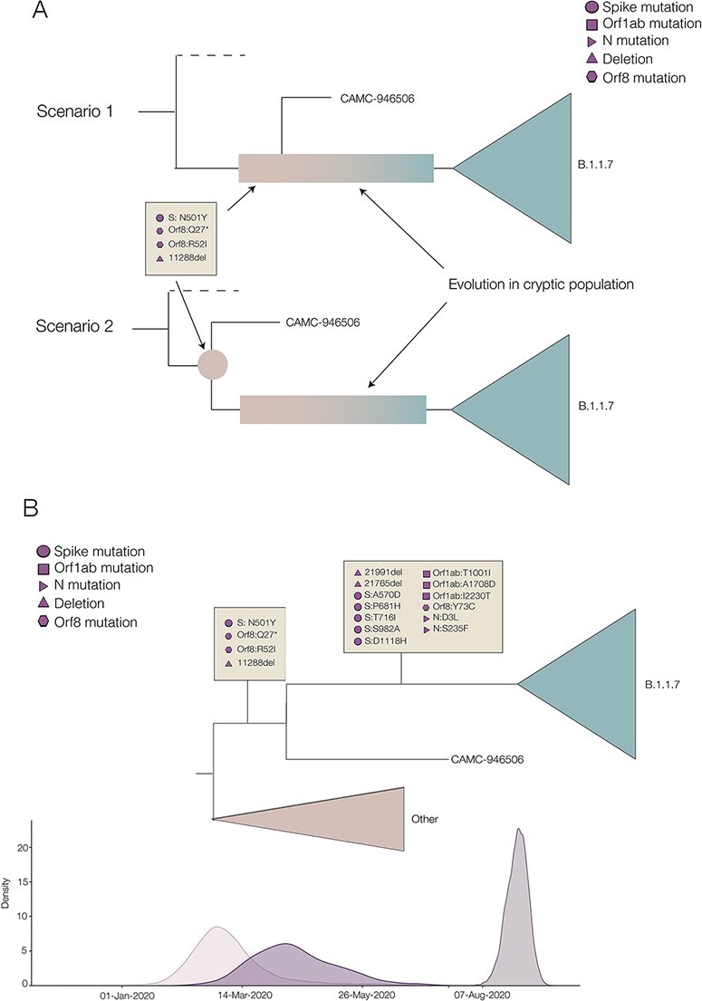 Figure 2.