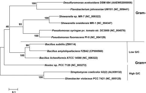 FIG. 2.