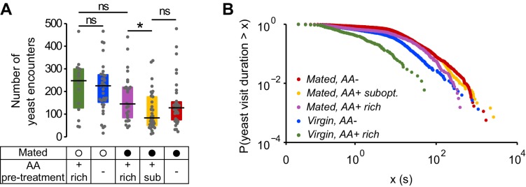 Figure 3—figure supplement 1.