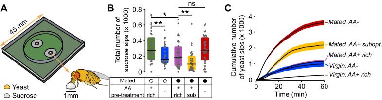 Figure 2—figure supplement 1.