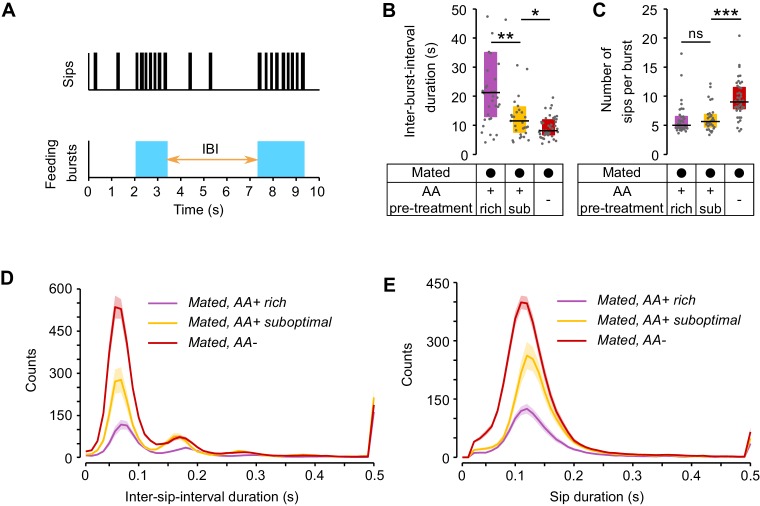 Figure 4—figure supplement 3.