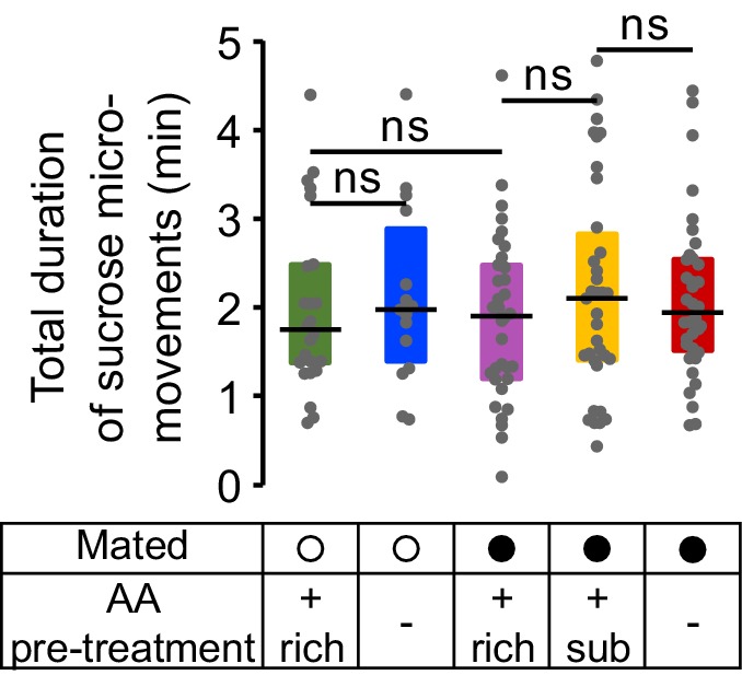 Figure 2—figure supplement 2.