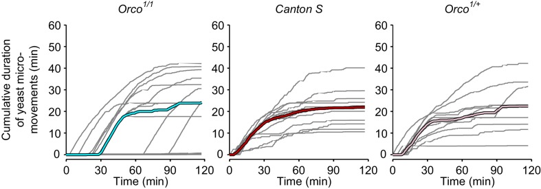 Figure 7—figure supplement 1.