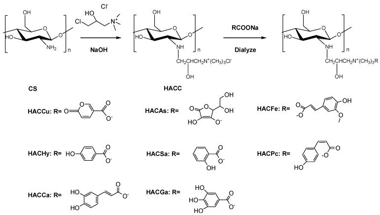 Scheme 1