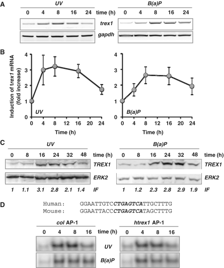 Figure 5.