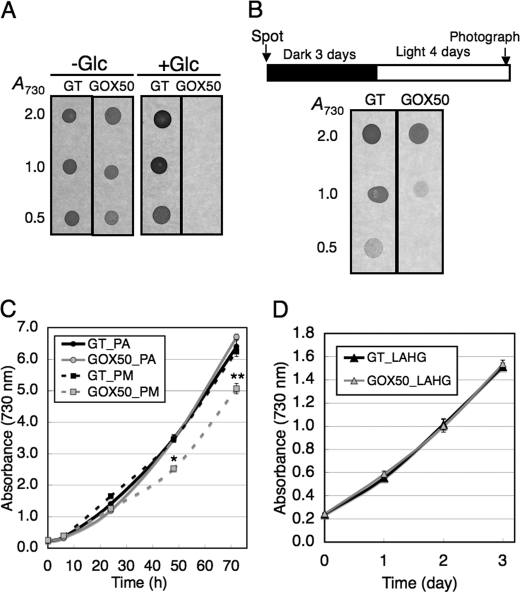 FIGURE 7.