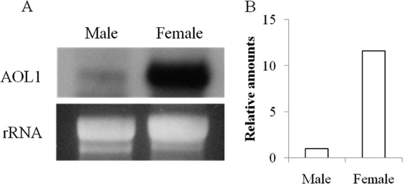 Fig 6