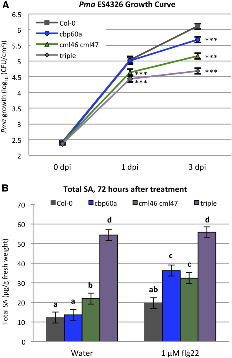 Figure 7.